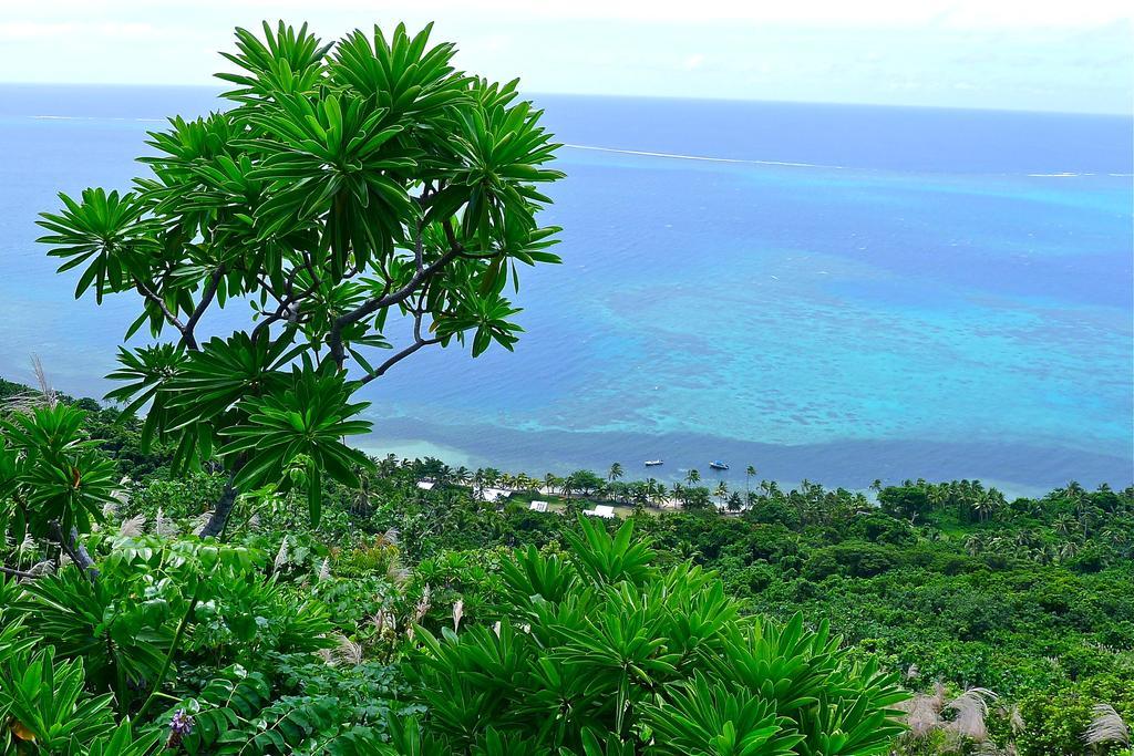 Mai Dive' Astrolabe Reef Resort Naqara Chambre photo