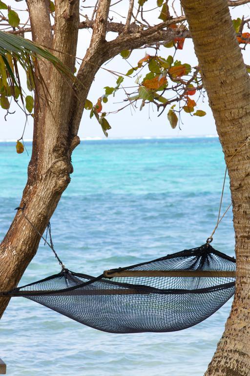 Mai Dive' Astrolabe Reef Resort Naqara Chambre photo