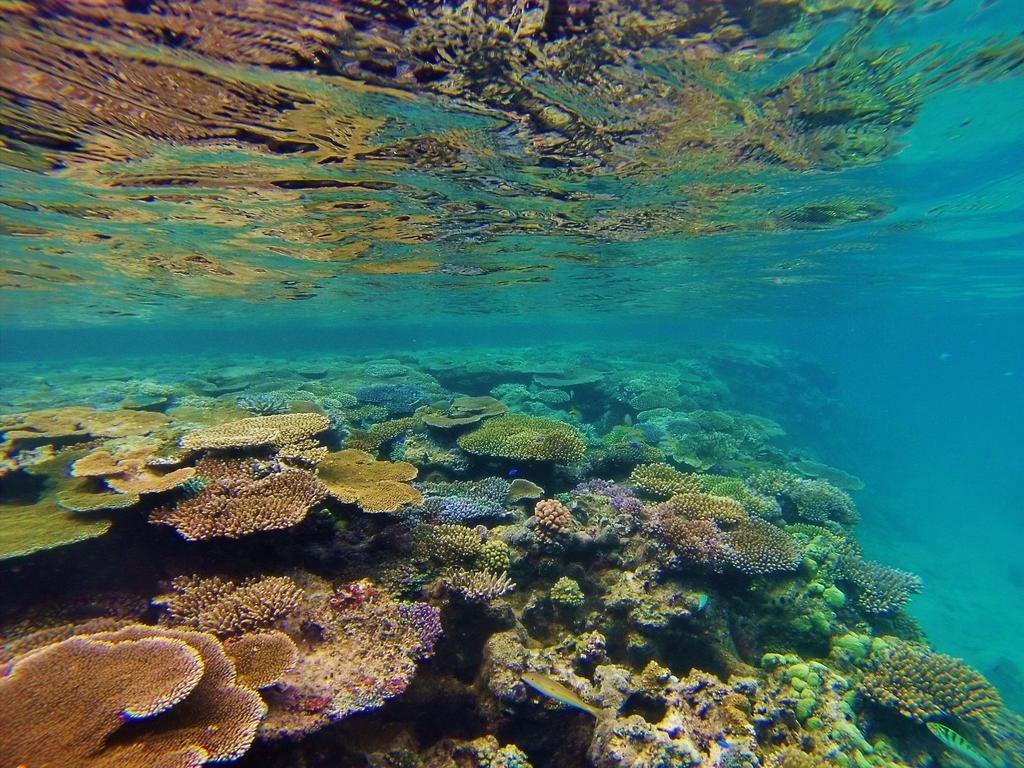 Mai Dive' Astrolabe Reef Resort Naqara Extérieur photo