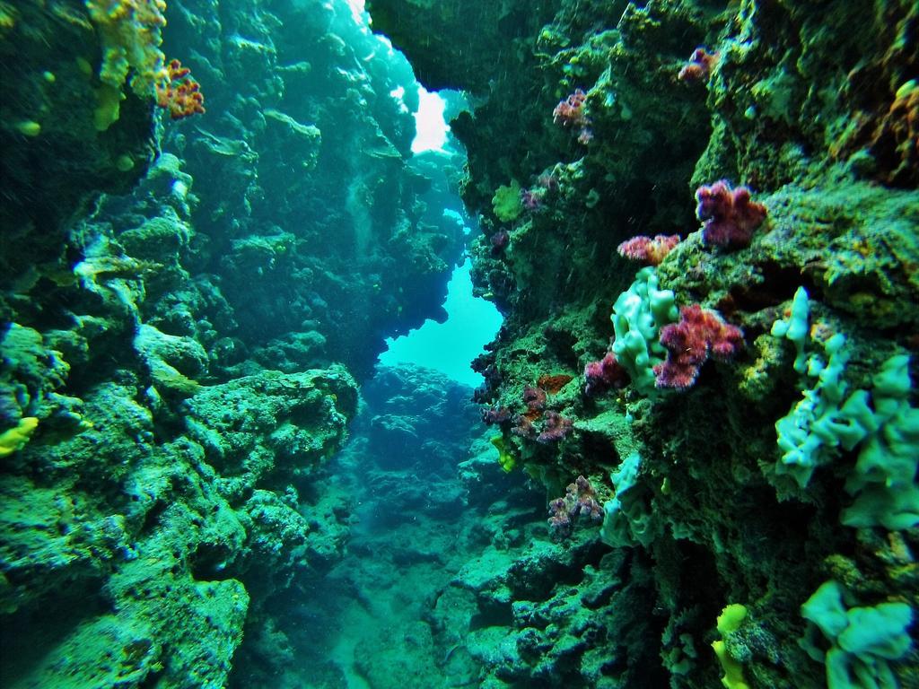 Mai Dive' Astrolabe Reef Resort Naqara Extérieur photo