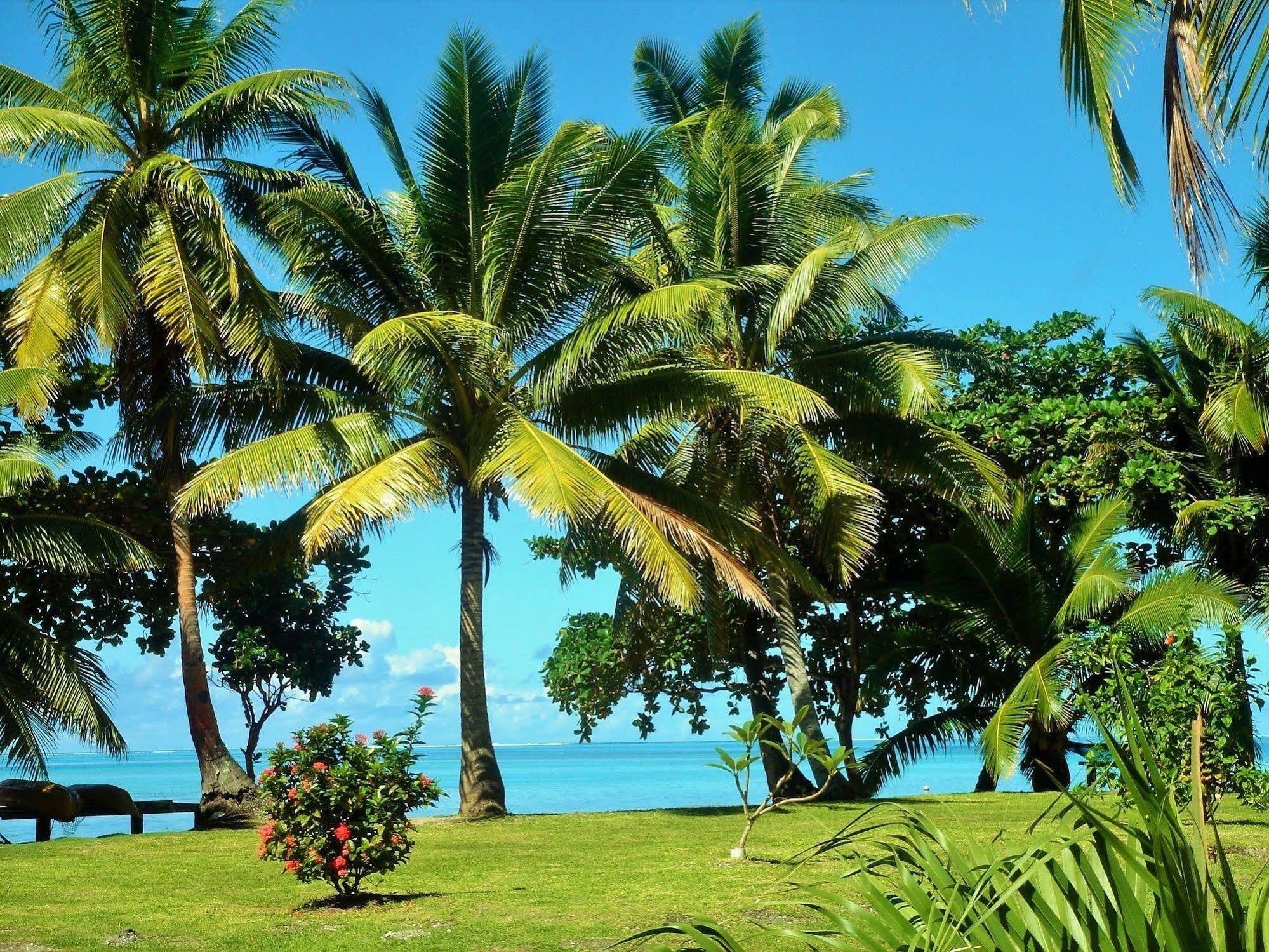Mai Dive' Astrolabe Reef Resort Naqara Extérieur photo